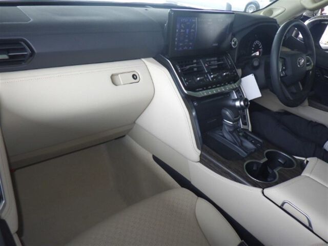  29735  TOYOTA LANDCRUISER  2024  