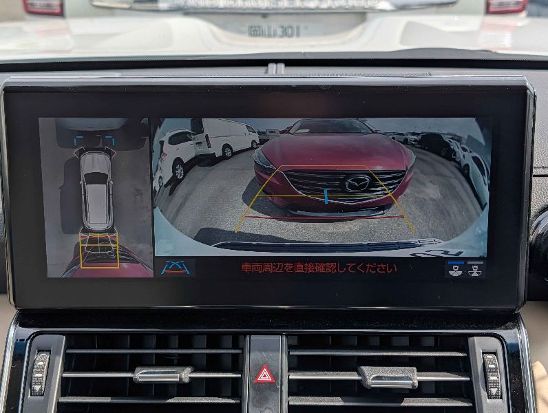  29735  TOYOTA LANDCRUISER  2024  