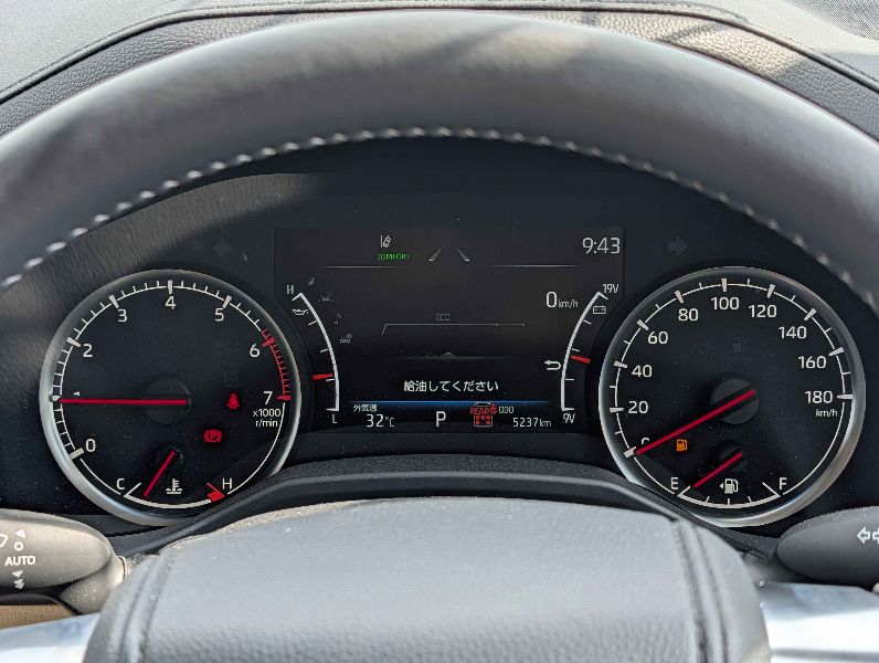  29735  TOYOTA LANDCRUISER  2024  