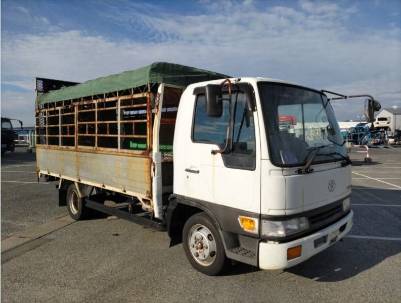  29910 HINO DUTRO  2007  