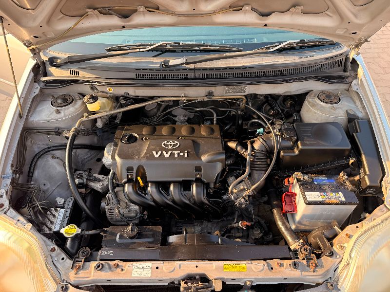  31377  TOYOTA ALLEX  2002  