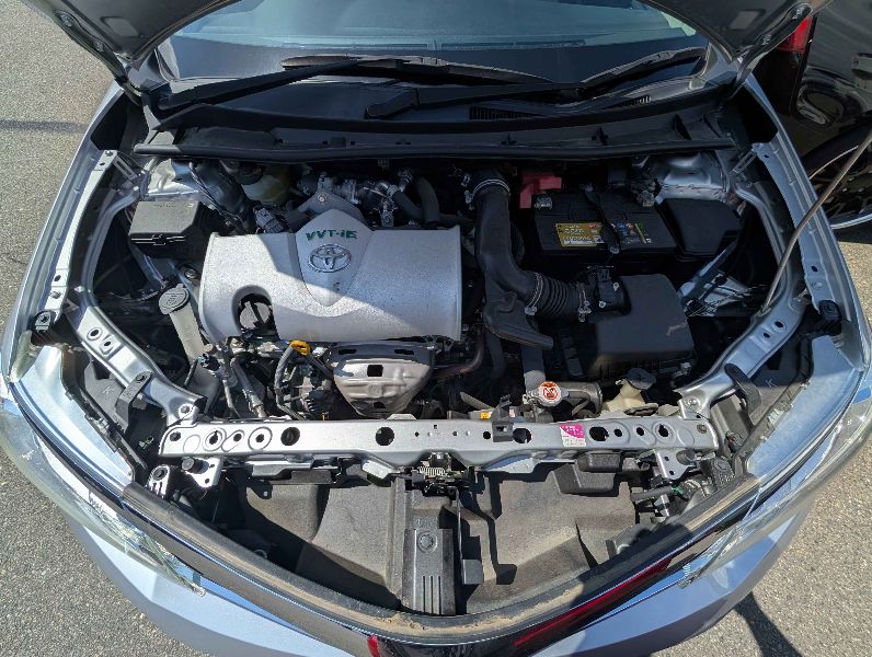  31605  TOYOTA AXIO  2017  